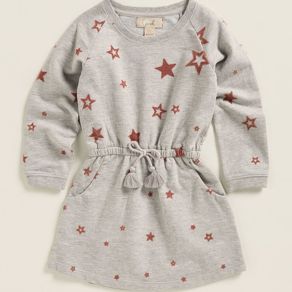 PEEK KIDS Girls 2T Grey  Bryn Flocked Dress NEW